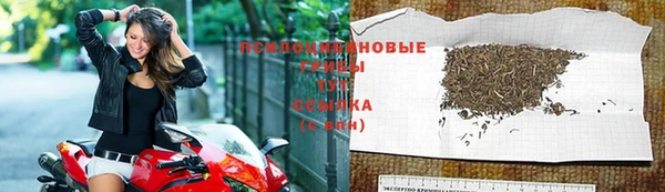 бошки Ельня