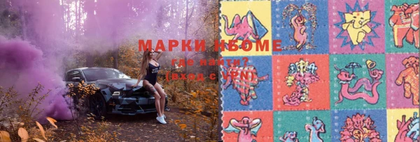 прущие грибы Видное