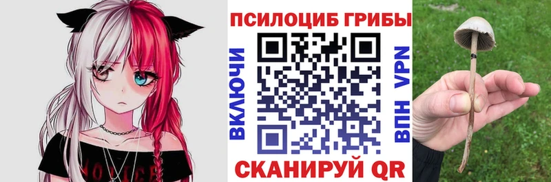 Псилоцибиновые грибы MAGIC MUSHROOMS  Злынка 